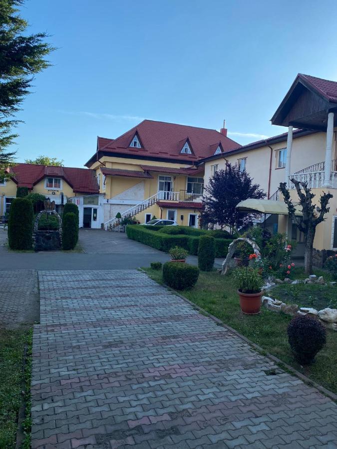 Pensiunea Viena Targu-Mures Bagian luar foto